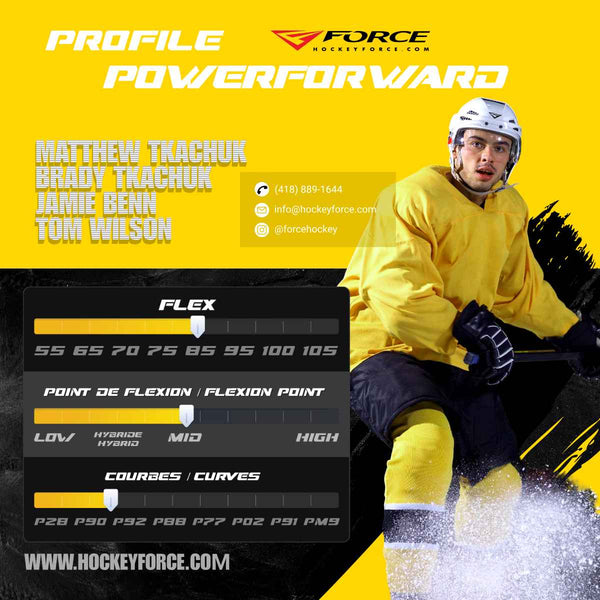 PROFILS TECHNIQUES / TECHNICAL PROFILES
